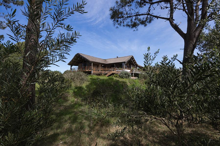La casa entre los árboles, con sus muros de adobe